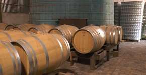 Esalq produz cachaça com qualidade de uísque 12 anos