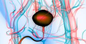 Foto: (iStock/magicmine)