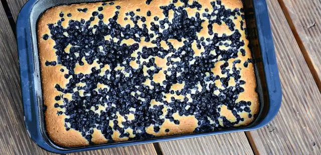 Torta de frango de liquidificador