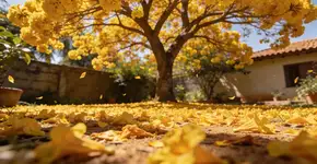 Foto: (Imagem sem texto alternativo disponivel ID [2702458])