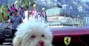 Foto: (Imagem sem texto alternativo disponivel ID [1394205])