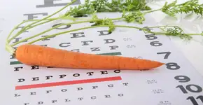 Foto: (Imagem sem texto alternativo disponivel ID [2403465])