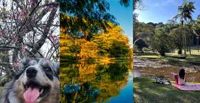 8 passeios ao ar livre para curtir com as crianças em SP