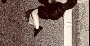 Grátis: Espetáculo ‘Ciranda de Retina e Cristalino’ nesta sexta em São Bernardo do Campo