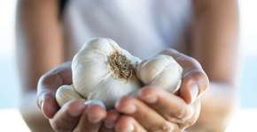 Alho pode ajudar a combater problemas de ereção