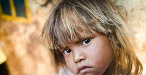 “Ninjas” do jornalismo travam guerrilha pela liberdade da mídia