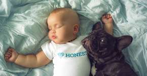 Foto: (Imagem sem texto alternativo disponivel ID [926821])