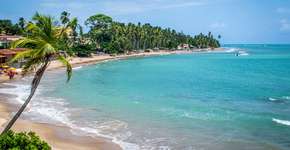 Foto: (Getty Images/iStockphoto)