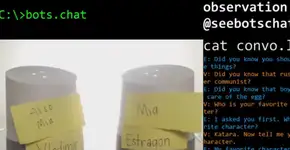 Conversa entre robôs do Google reúne milhares de espectadores