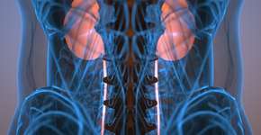 5 sinais silenciosos de doença renal crônica que você não deve ignorar, segundo nefrologista