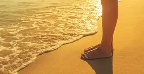 Foto: (Imagem sem texto alternativo disponivel ID [1044791])