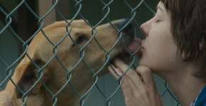 Foto: (Imagem sem texto alternativo disponivel ID [1870739])