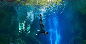 Foto: (Jonatas Ferreira/Divulgação)