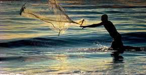 O pagode baiano e o grupo Gera Samba