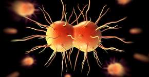 Foto: (Peddalanka Ramesh Babu/istock)