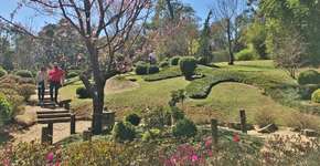 Viagem de carro em SP: lugares para ir em família ou a dois