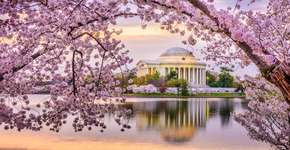 Foto: (Divulgação/Destination DC/iStock)