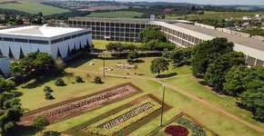 Foto: (Divulgação)