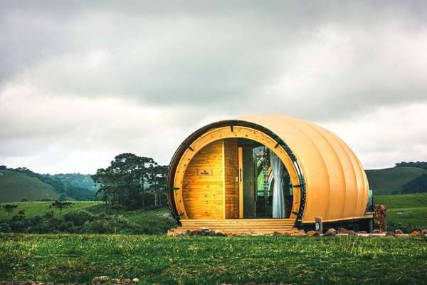 © sergioazevedo2020