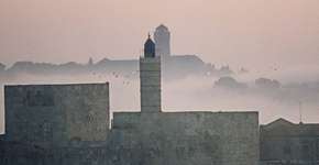 Foto: (Imagem sem texto alternativo disponivel ID [1867285])