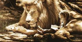 Foto: (Imagem sem texto alternativo disponivel ID [1842755])