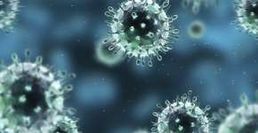 Médico esclarece mitos sobre o vírus H1N1