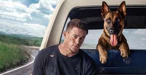 Filme com Channing Tatum e cão do exército conquista público no Prime Video