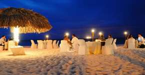 Foto: (Imagem sem texto alternativo disponivel ID [1868707])