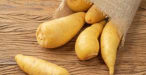 Foto: (Imagem sem texto alternativo disponivel ID [2612102])