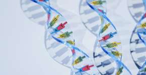 Biologia: Ácidos Nucléicos e Síntese Proteica