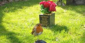 Foto: (Imagem sem texto alternativo disponivel ID [1380946])