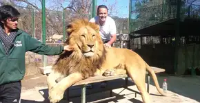 Foto: (Imagem sem texto alternativo disponivel ID [1838416])