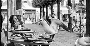 Foto: (Imagem sem texto alternativo disponivel ID [407504])