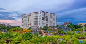 Foto: (Divulgação)