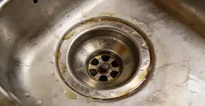 Foto: (Imagem sem texto alternativo disponivel ID [2681379])