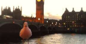 ONG distribui livros de graça em Londres; saiba mais