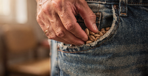 Foto: (Imagem sem texto alternativo disponivel ID [2717909])