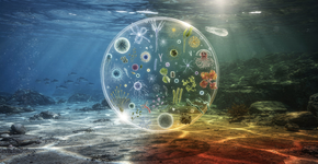 Foto: (Imagem sem texto alternativo disponivel ID [2735077])