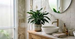 Foto: (Imagem sem texto alternativo disponivel ID [2788709])