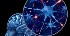 Foto: (lightsource/DepositPhotos)