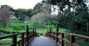 Foto: (Felipe Junqueira)