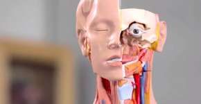 Foto: (Imagem sem texto alternativo disponivel ID [831532])