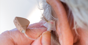 Foto: (iStock/pixinoo)