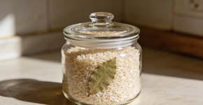 Foto: (Imagem sem texto alternativo disponivel ID [2729255])