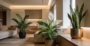 Foto: (Imagem sem texto alternativo disponivel ID [2699147])