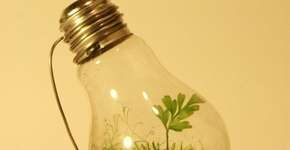 Em SP, material reciclável pode ser trocado por desconto na conta de luz