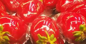 Foto: (Imagem sem texto alternativo disponivel ID [2601340])