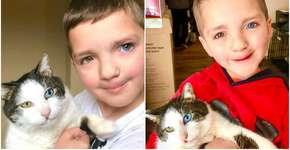 Destino: mãe encontra gato com as mesmas características do filho