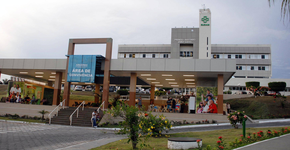 Foto: (Divulgação)