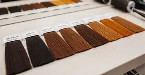 Foto: (Imagem sem texto alternativo disponivel ID [2773179])